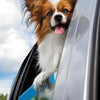 Almofada portátil em espuma macia, para proteger o queixo e as patas dos animais de estimação, na janela do carro.