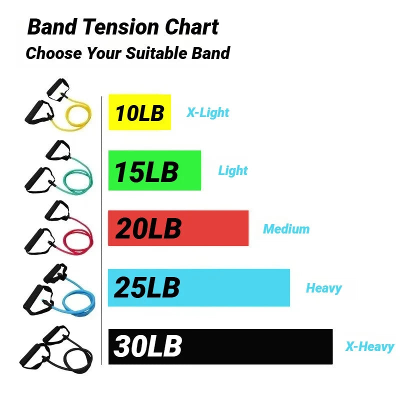 Bandas de resistência com alças para homens e mulheres - equipamento de treinamento de força, corda 5 níveis, tubo banda, exercício, treino, casa